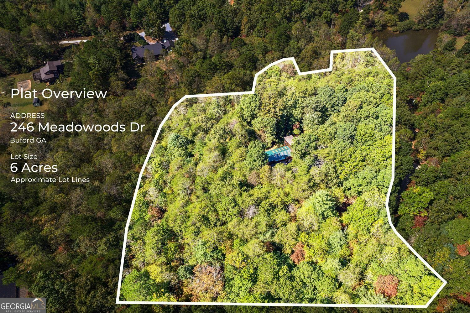Property Photo: 246 Meadowoods Drive Drive GA 30560