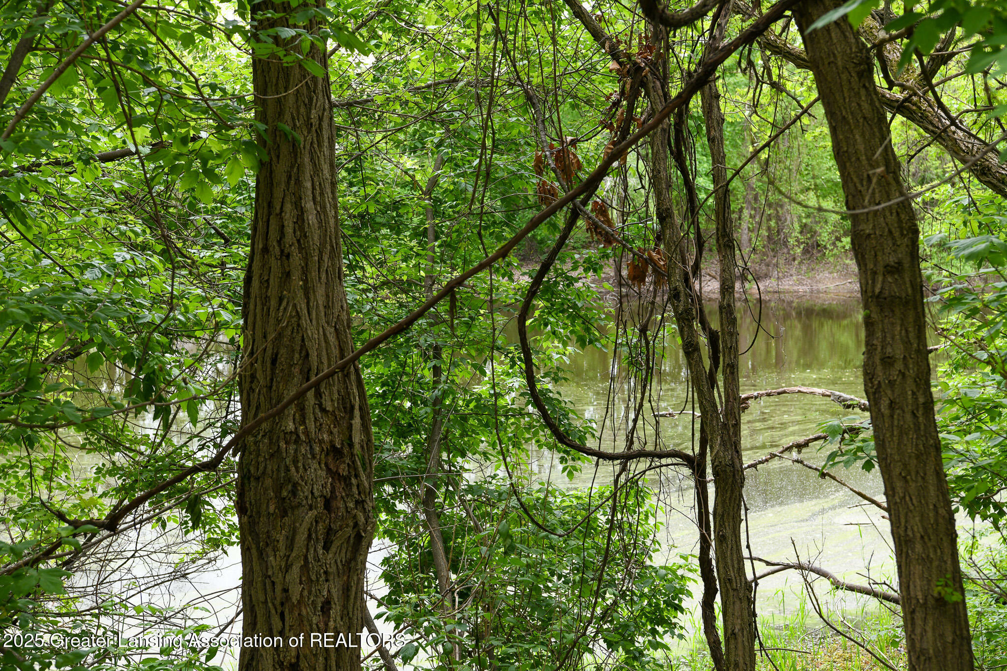 Property Photo: V/L Hollister Road MI 48848