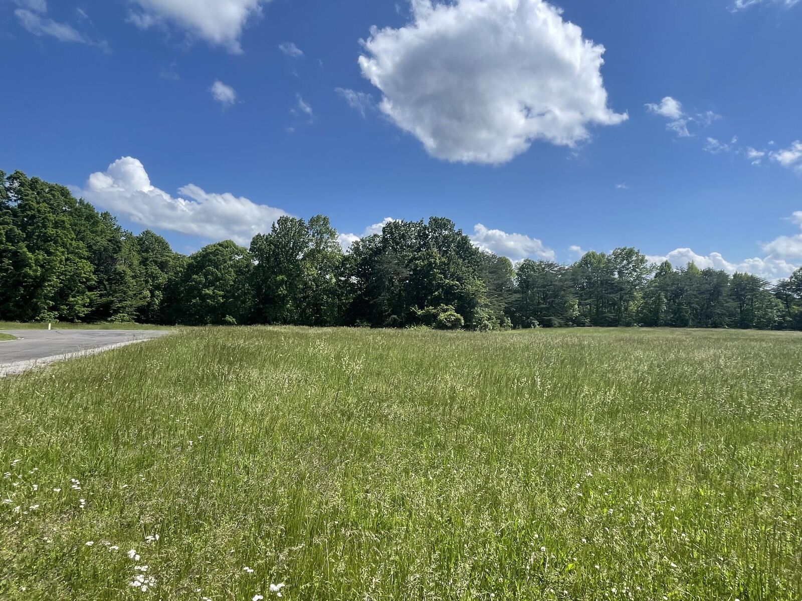 Property Photo: Lot 103 Stillwater KY 42642