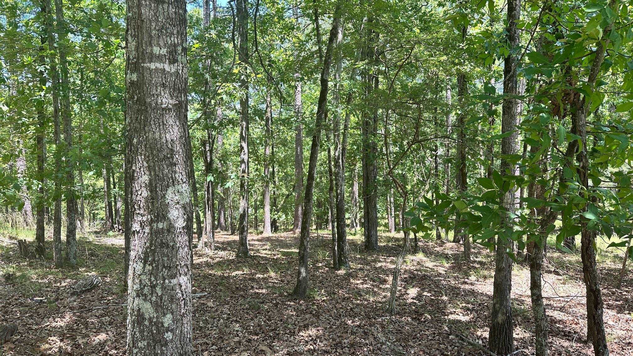 Property Photo: 1051 Pebble Hill Lane GA 30642