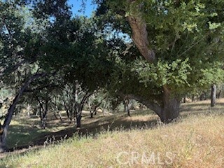 Property Photo:  2172 Ridge Rider Road  CA 93426 
