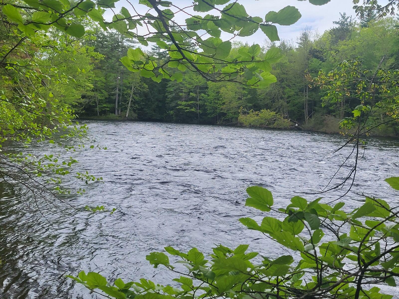 Property Photo: R3-32 Ossipee Trail ME 04068