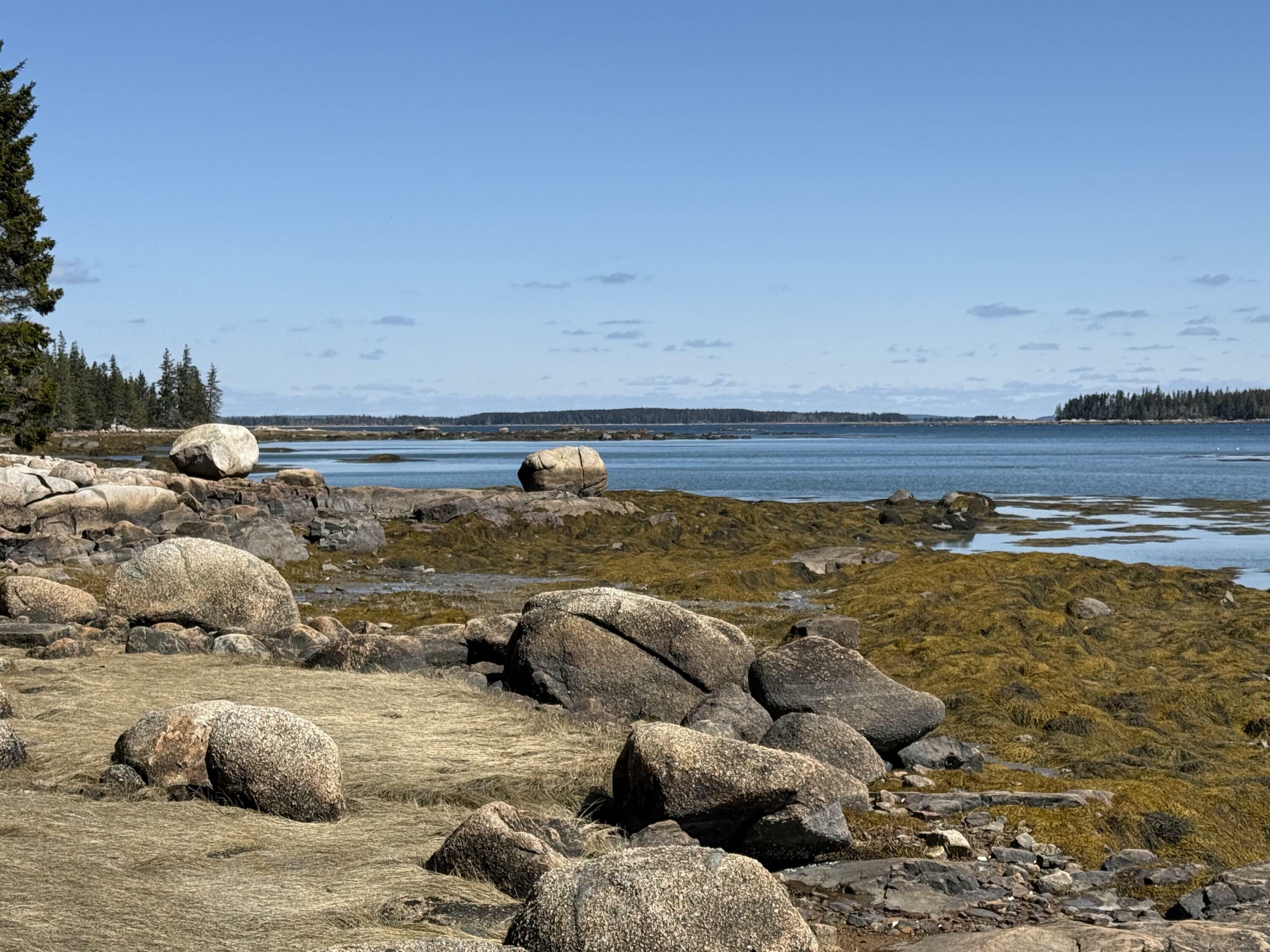 Property Photo:  Part Of Map 1, Lot 18, Jericho Bay Road  ME 04685 