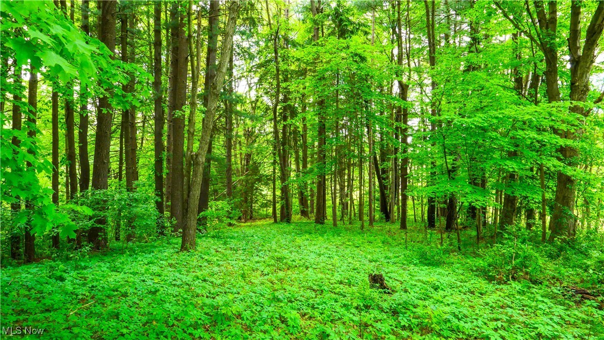 Property Photo: V/L Brosius Road OH 44231
