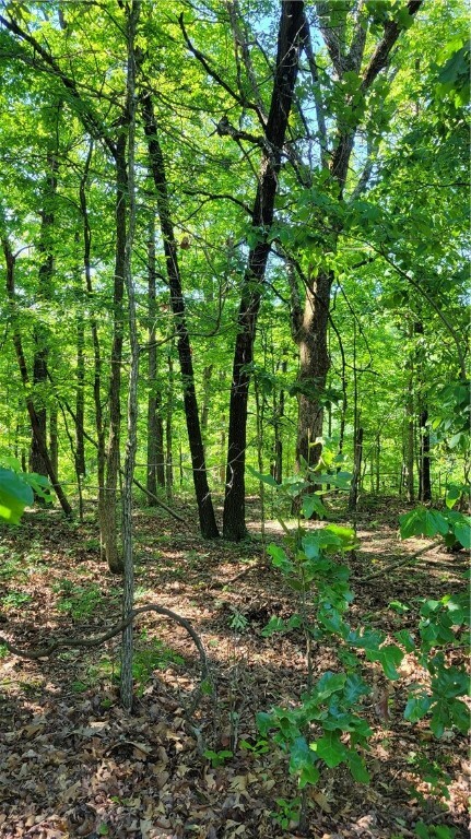 Property Photo:  8 Petworth Lane  AR 72714 