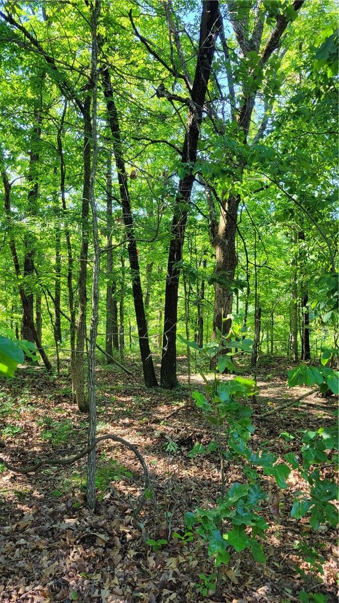 Property Photo:  8 Petworth Lane  AR 72714 