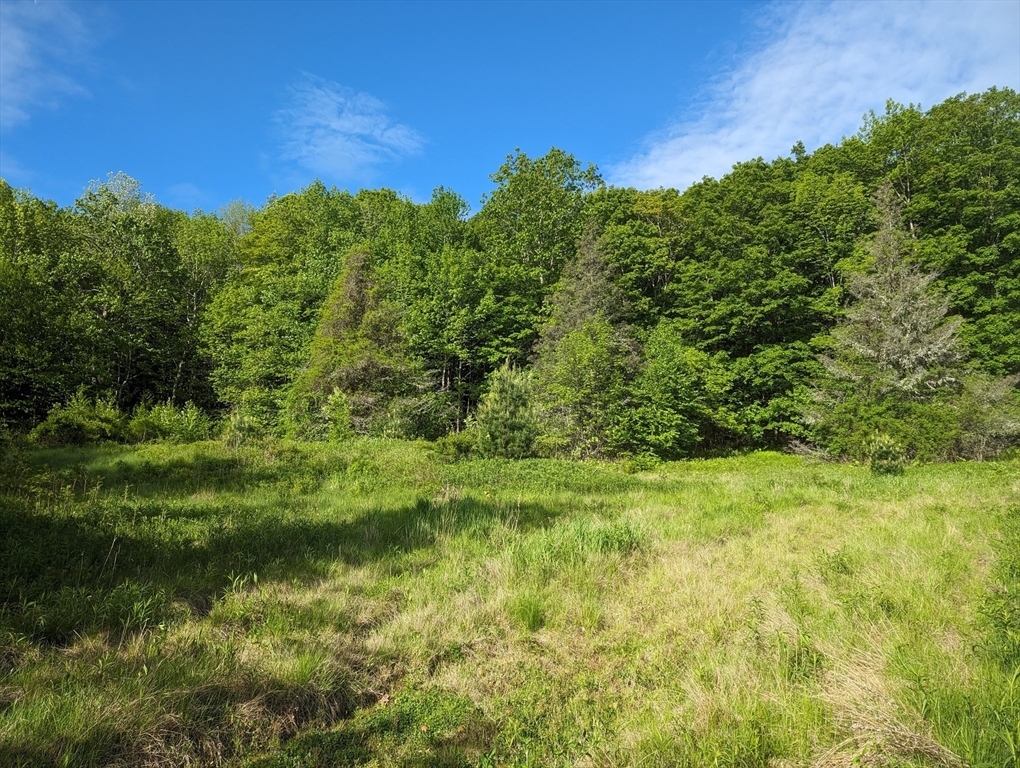 Property Photo: 141 Ireland St MA 01096