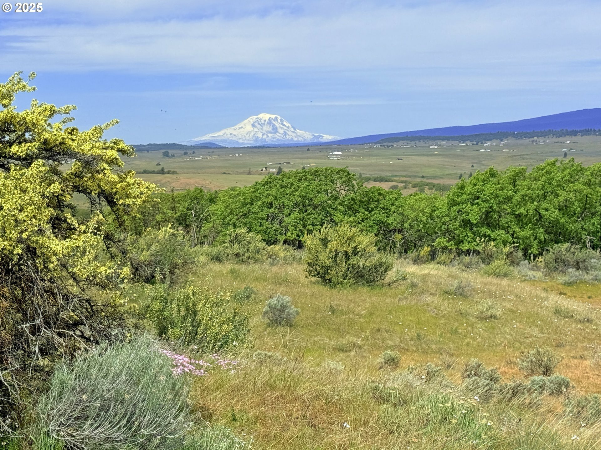 Property Photo:  Off Gnarly Oaks  WA 98620 