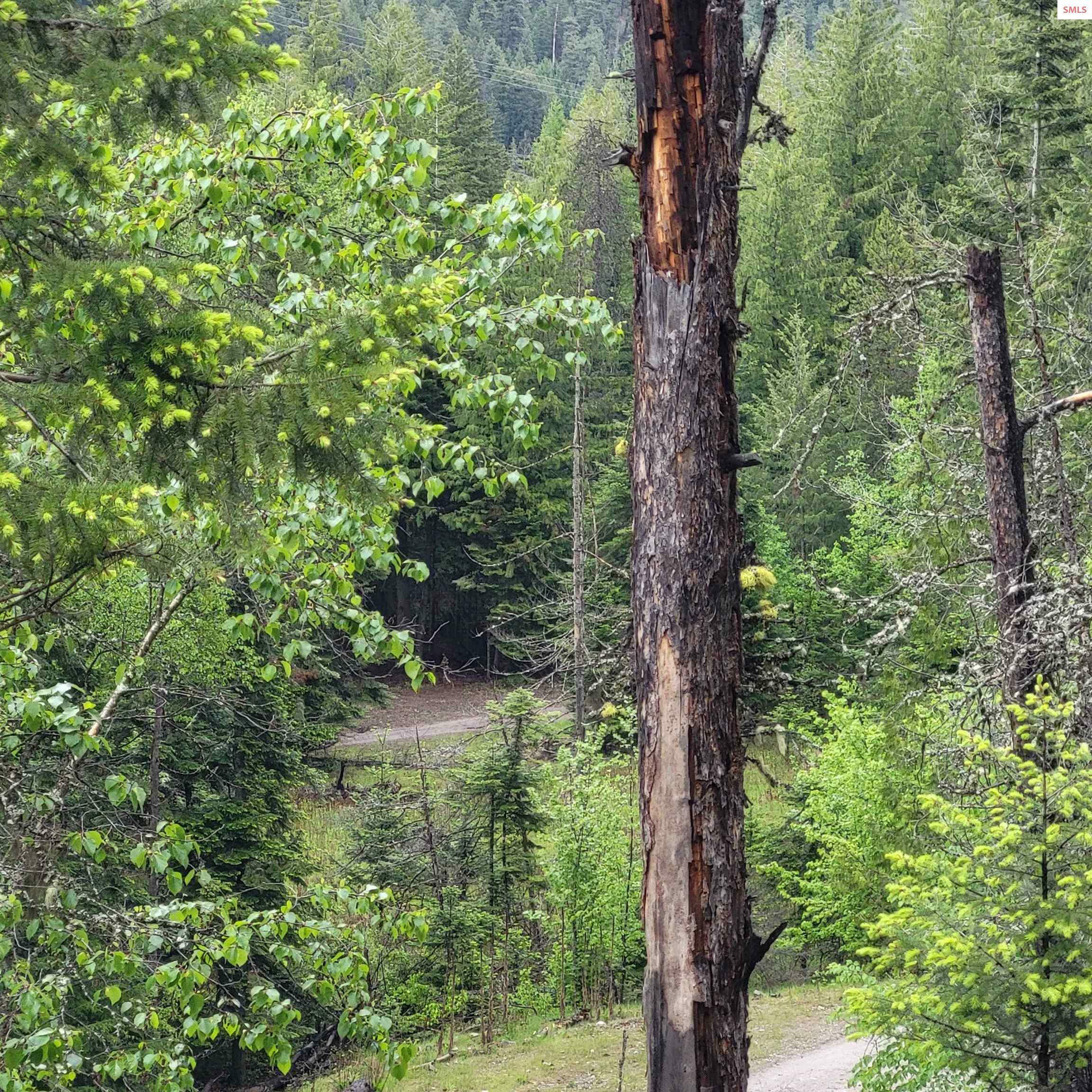 Property Photo: Nna Silver Ave ID 83803