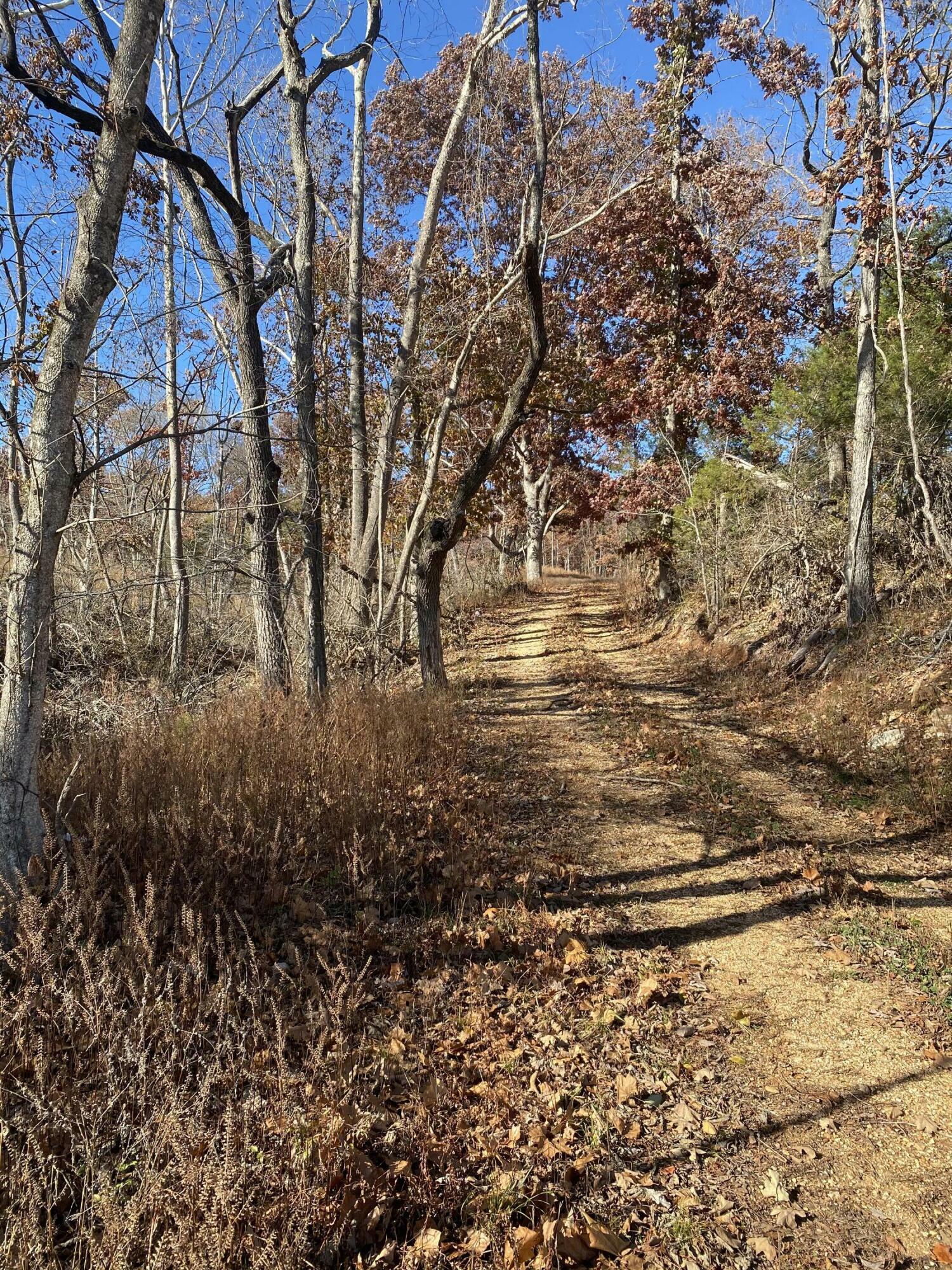 Property Photo: 000 Tbd County Rd T-541 MO 65608