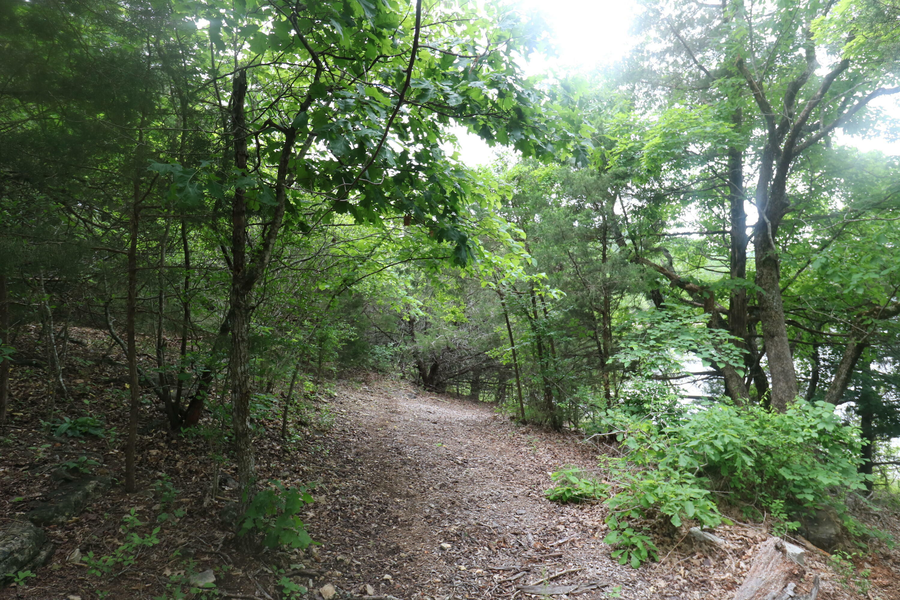 Property Photo: 123 Joseph Cove Drive MO 65681