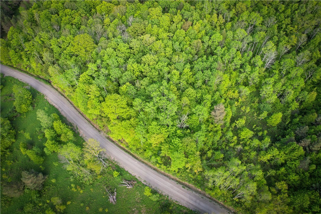 Property Photo: Hubby Road NY 13835