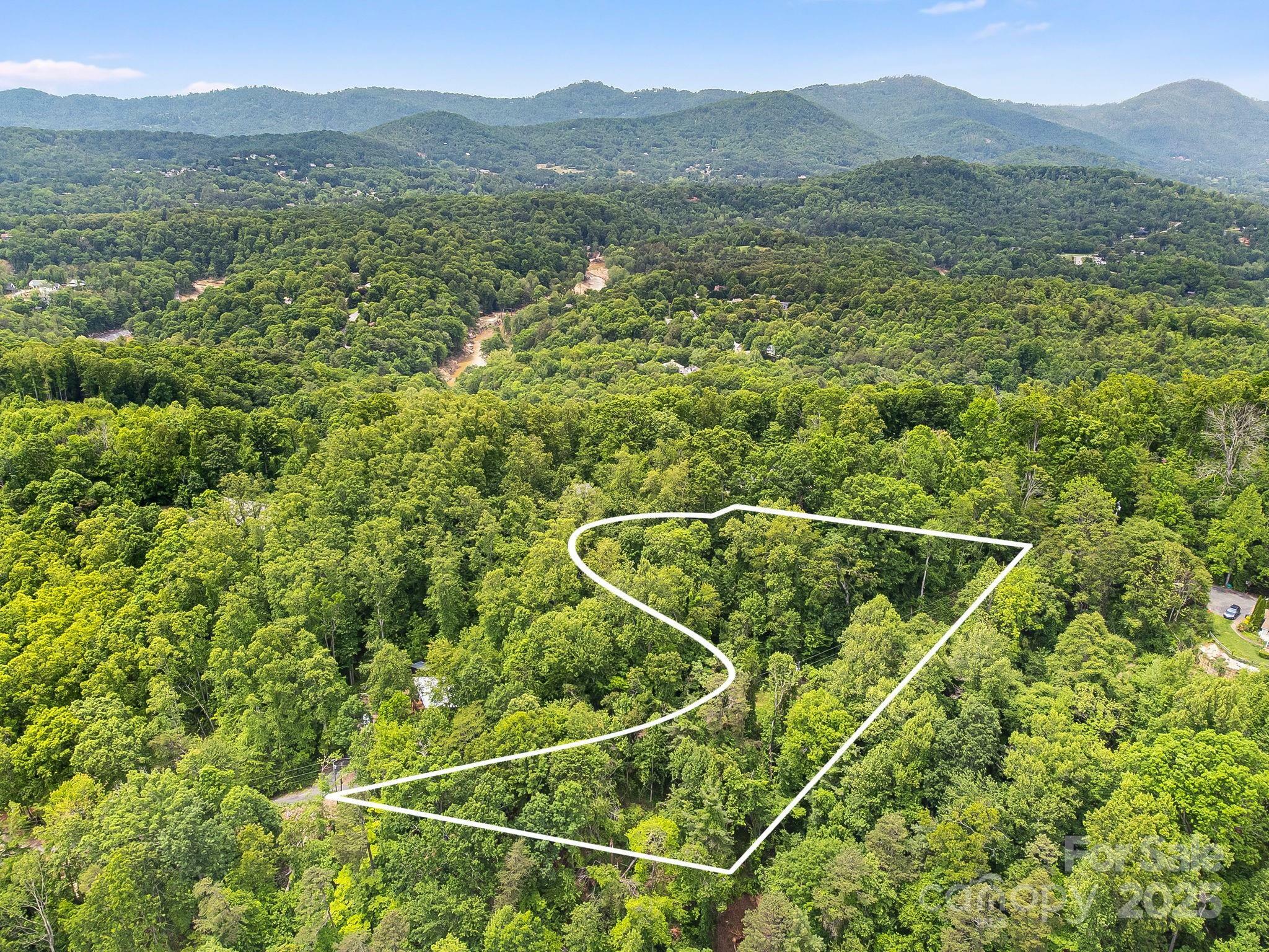 9999 Small Mountain Drive  Asheville NC 28805 photo