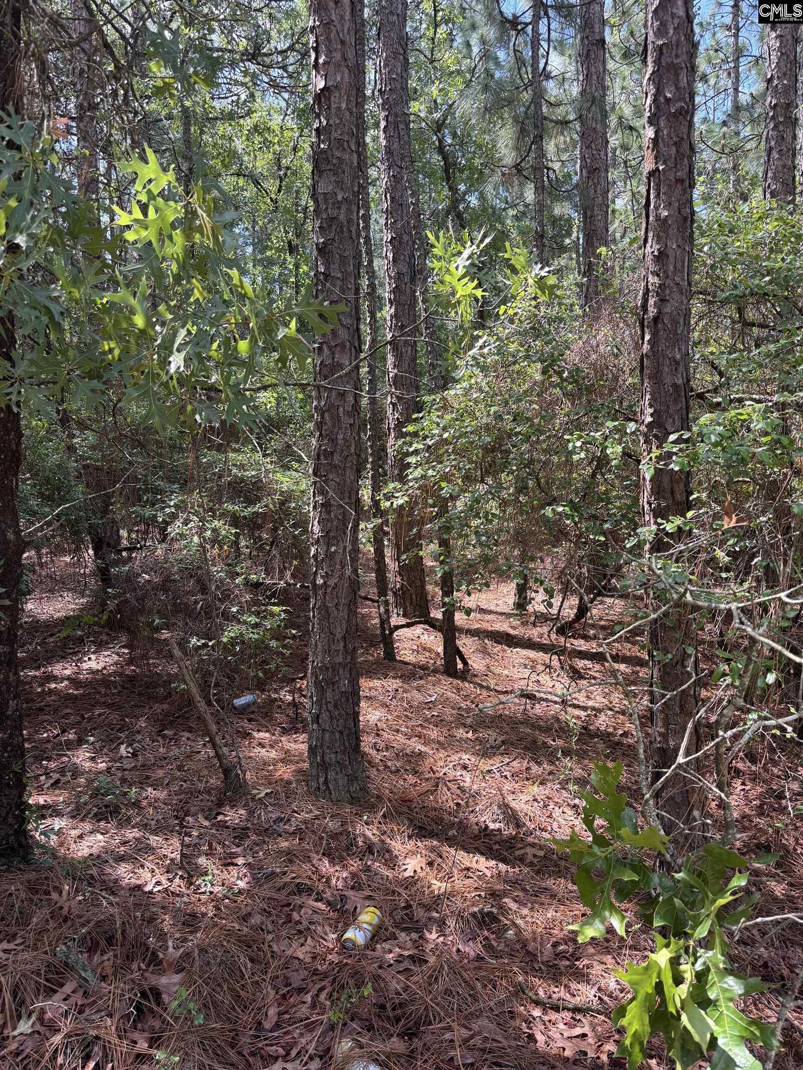 Property Photo:  Lot 1 Gary Hallman  SC 29070 