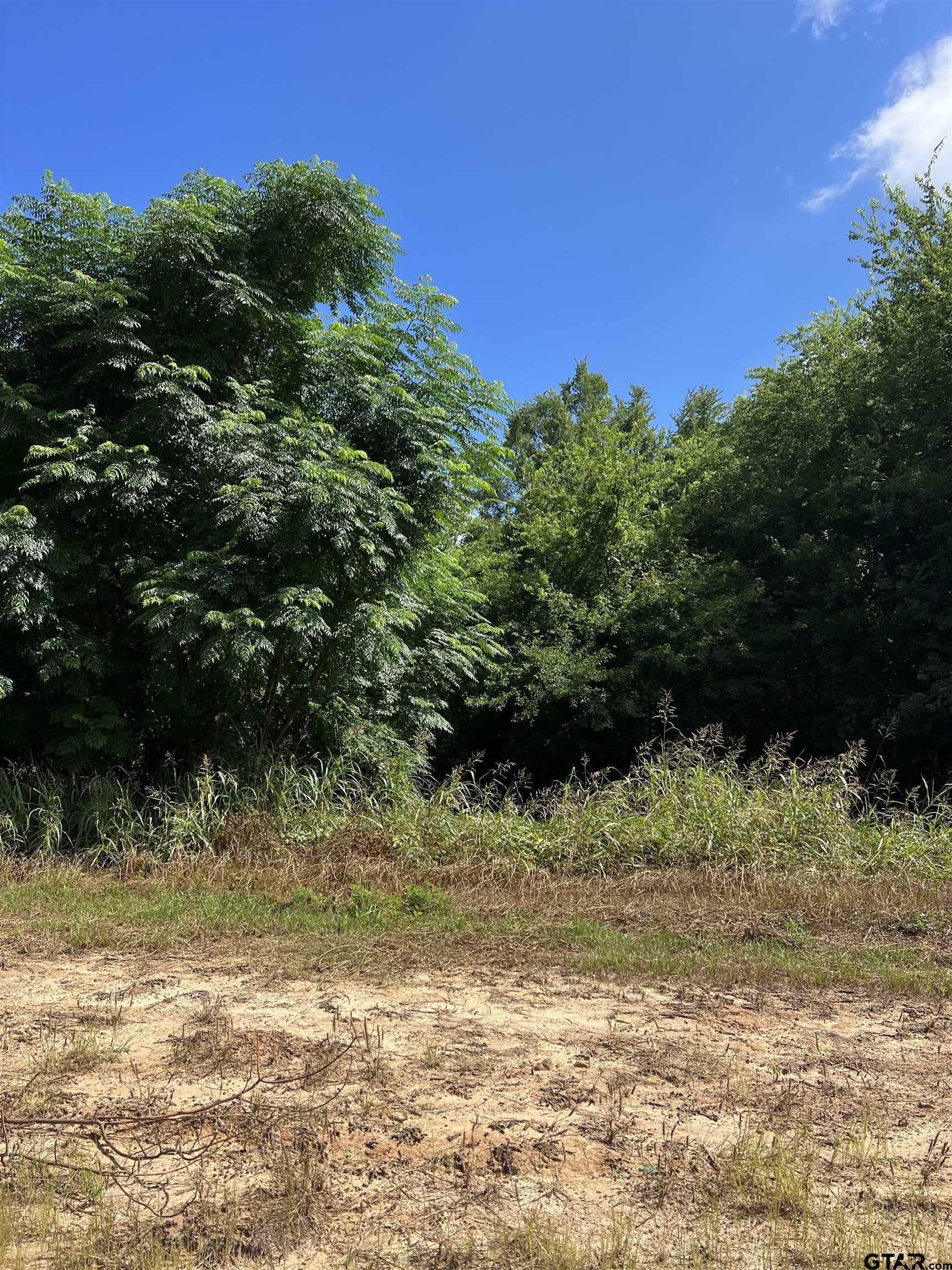 Property Photo: 000 Sh 64 TX 75754