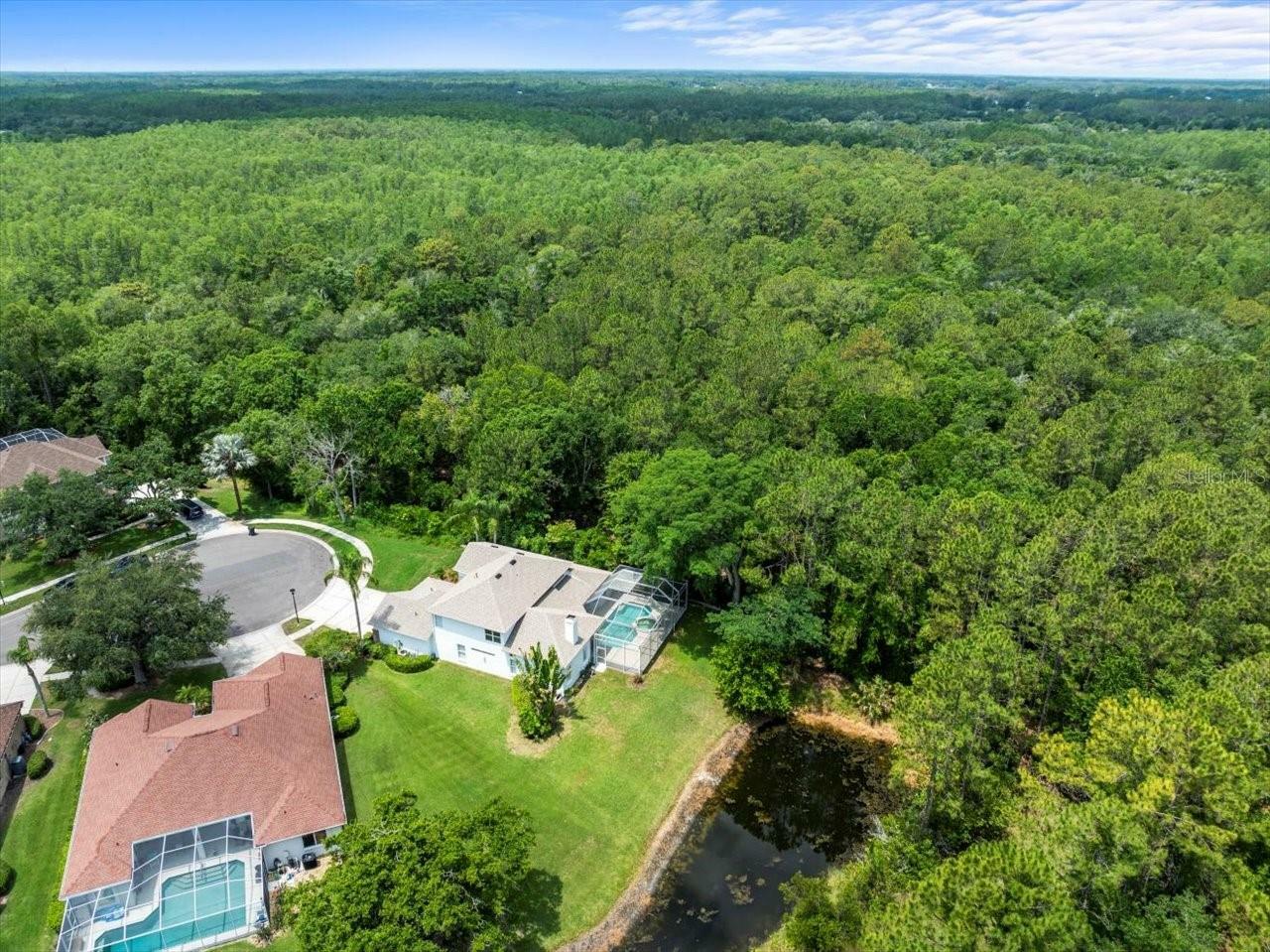 Property Photo: 6127 Cezanne Avenue FL 33558