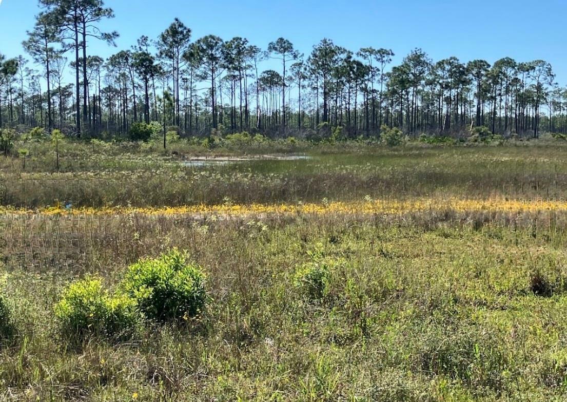 Property Photo: 825 NE 44th Lane FL 33909