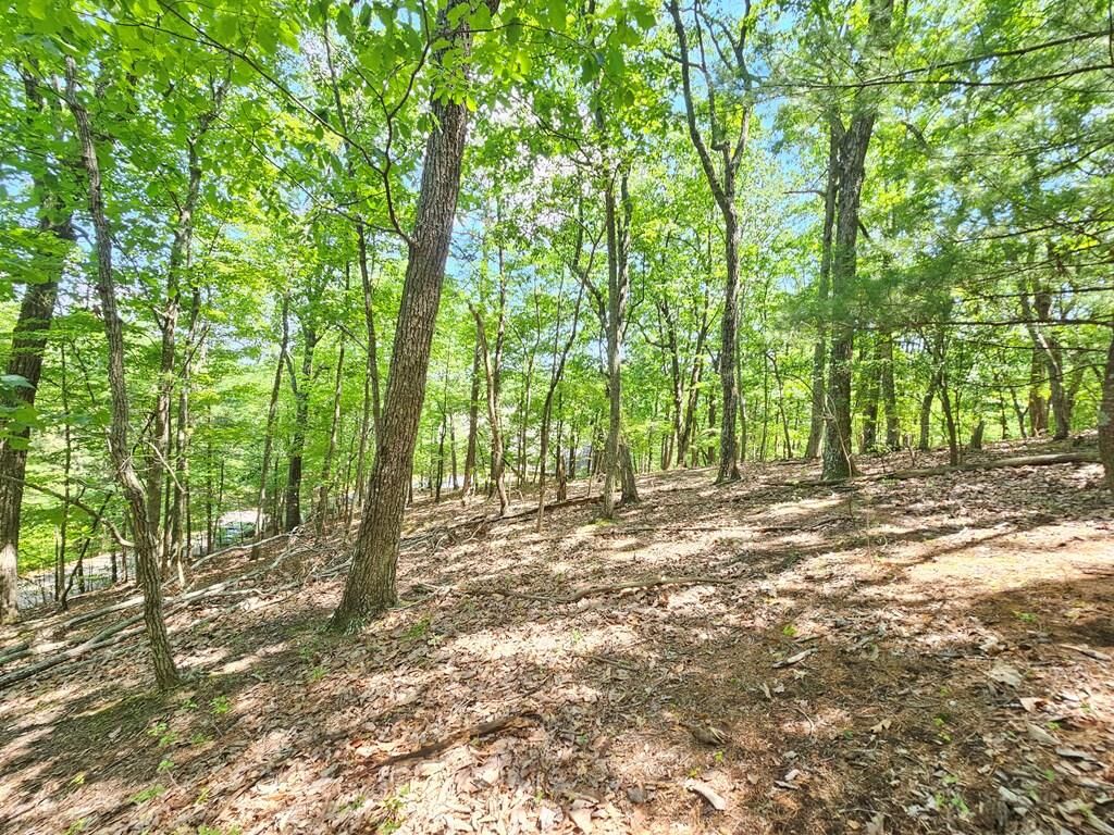 Property Photo:  0 Turnbury Lane  GA 30143 