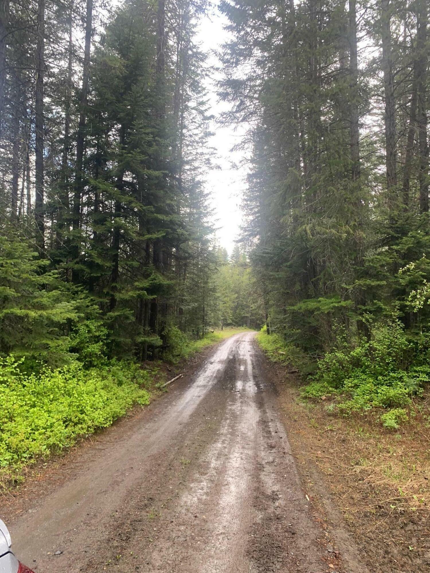 Property Photo: 21xxx Clark Lake Rd. WA 99101