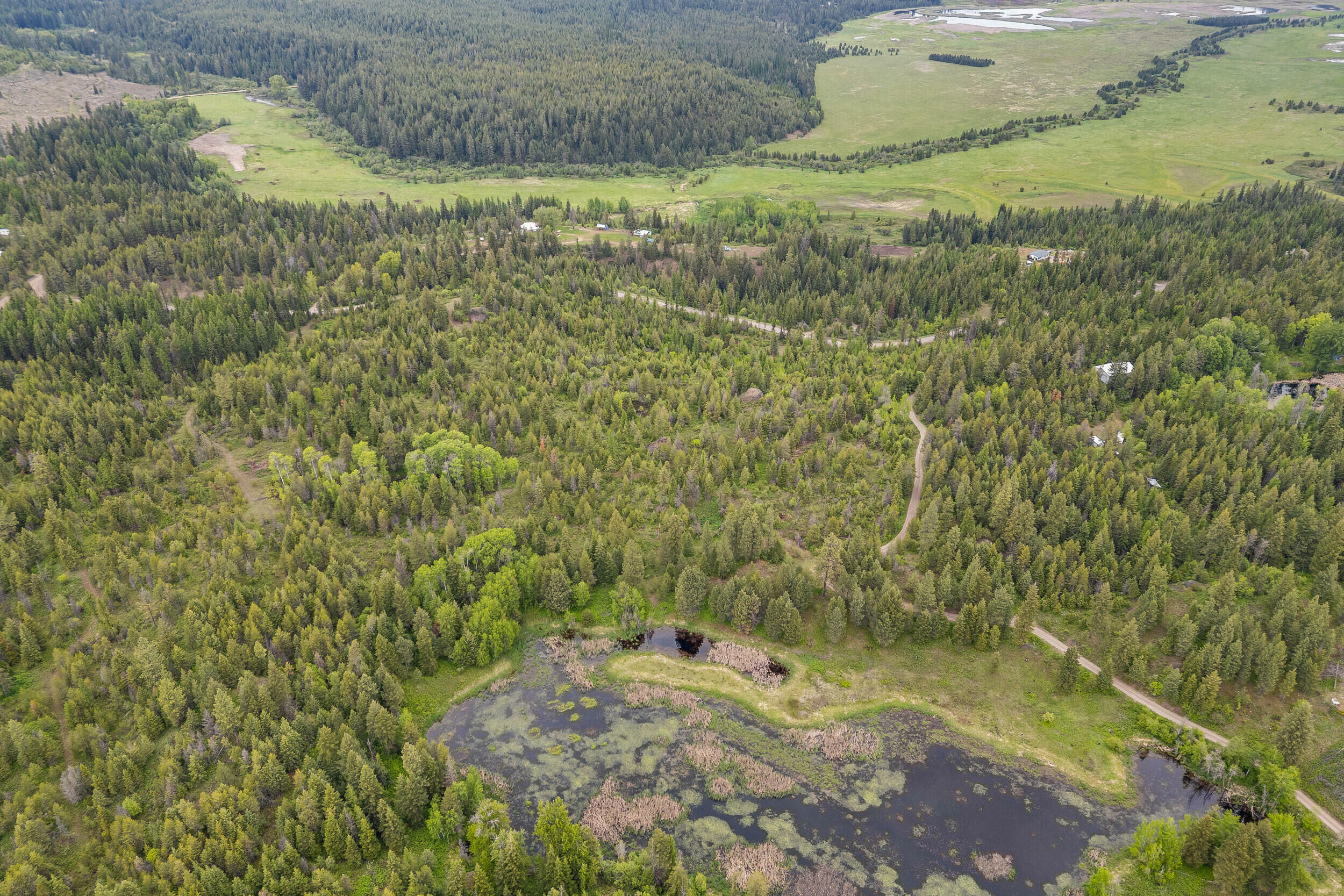 Property Photo: Lot 3 Hesseltine Rd WA 99181