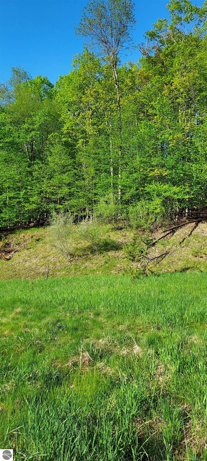 Property Photo: 127 Founders Ridge MI 49615