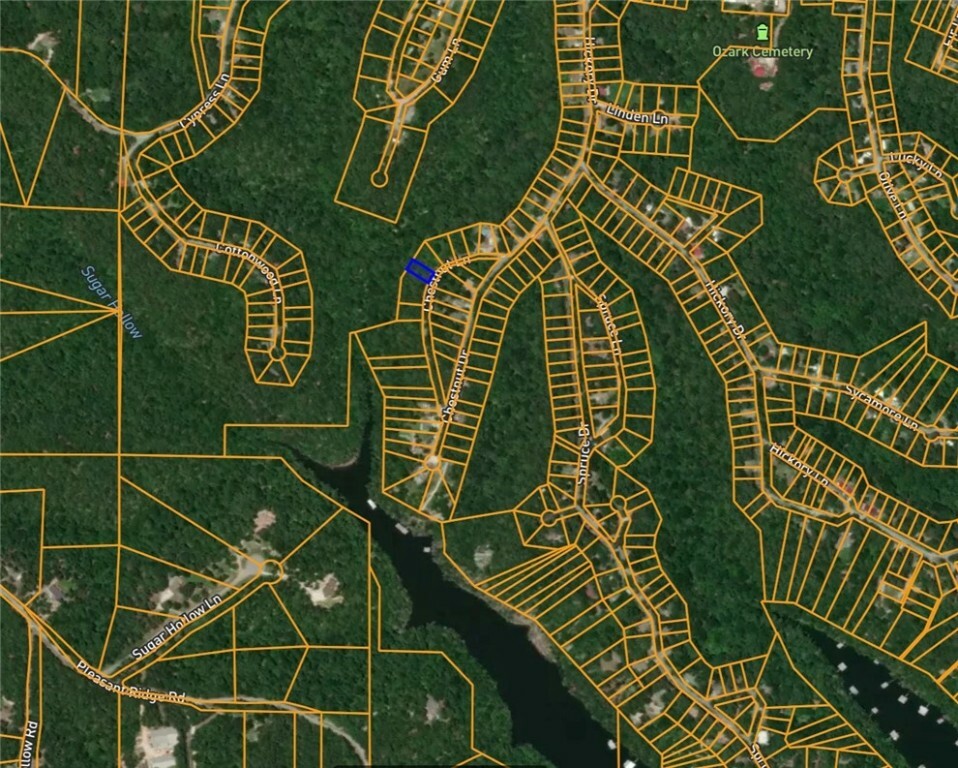 Property Photo: Lot 1006 Chestnut Lane AR 72756