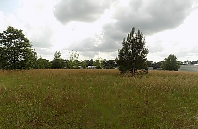 Property Photo: 0 Hanging Moss Trail AL 36320