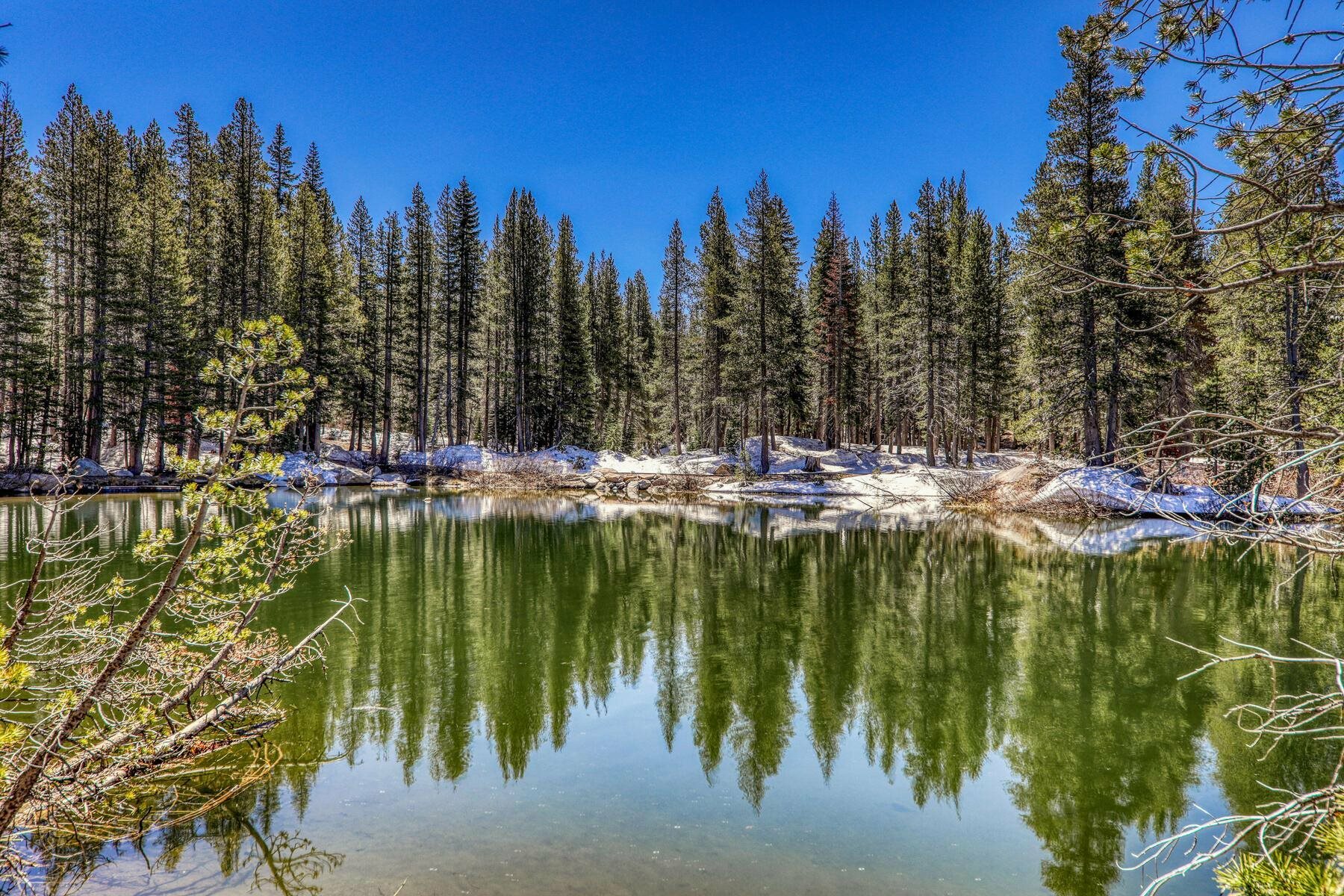 Property Photo:  19675 Boreal Ridge Road 4  CA 95728 