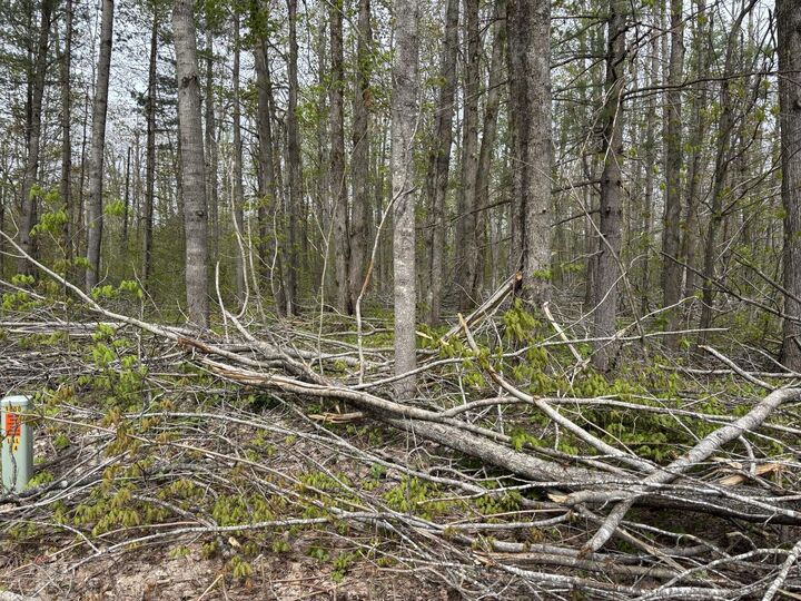 Property Photo: Vl Lot 376 Forestview Circle MI 49735