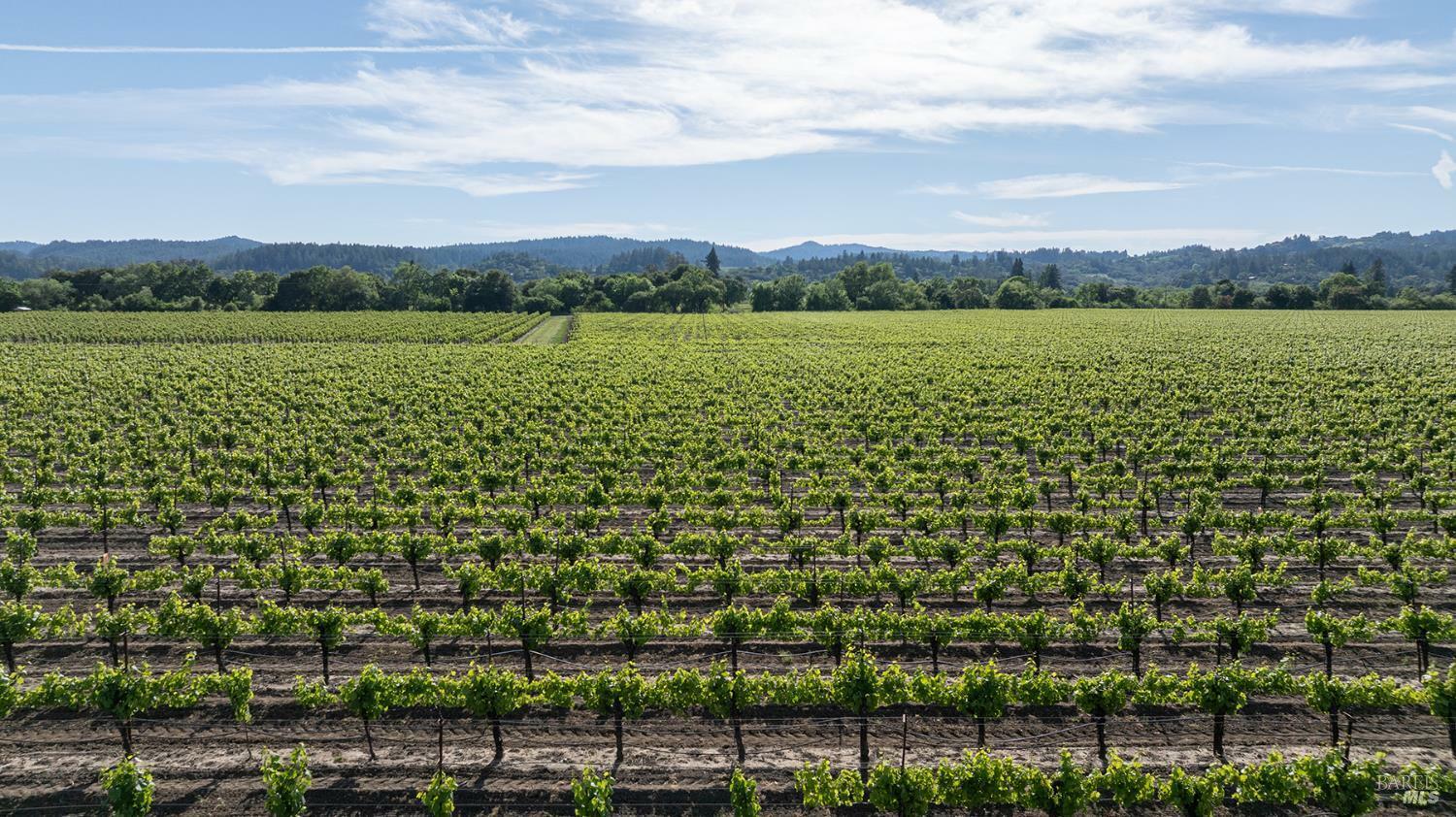 374 Kinley Drive  Healdsburg CA 95448 photo