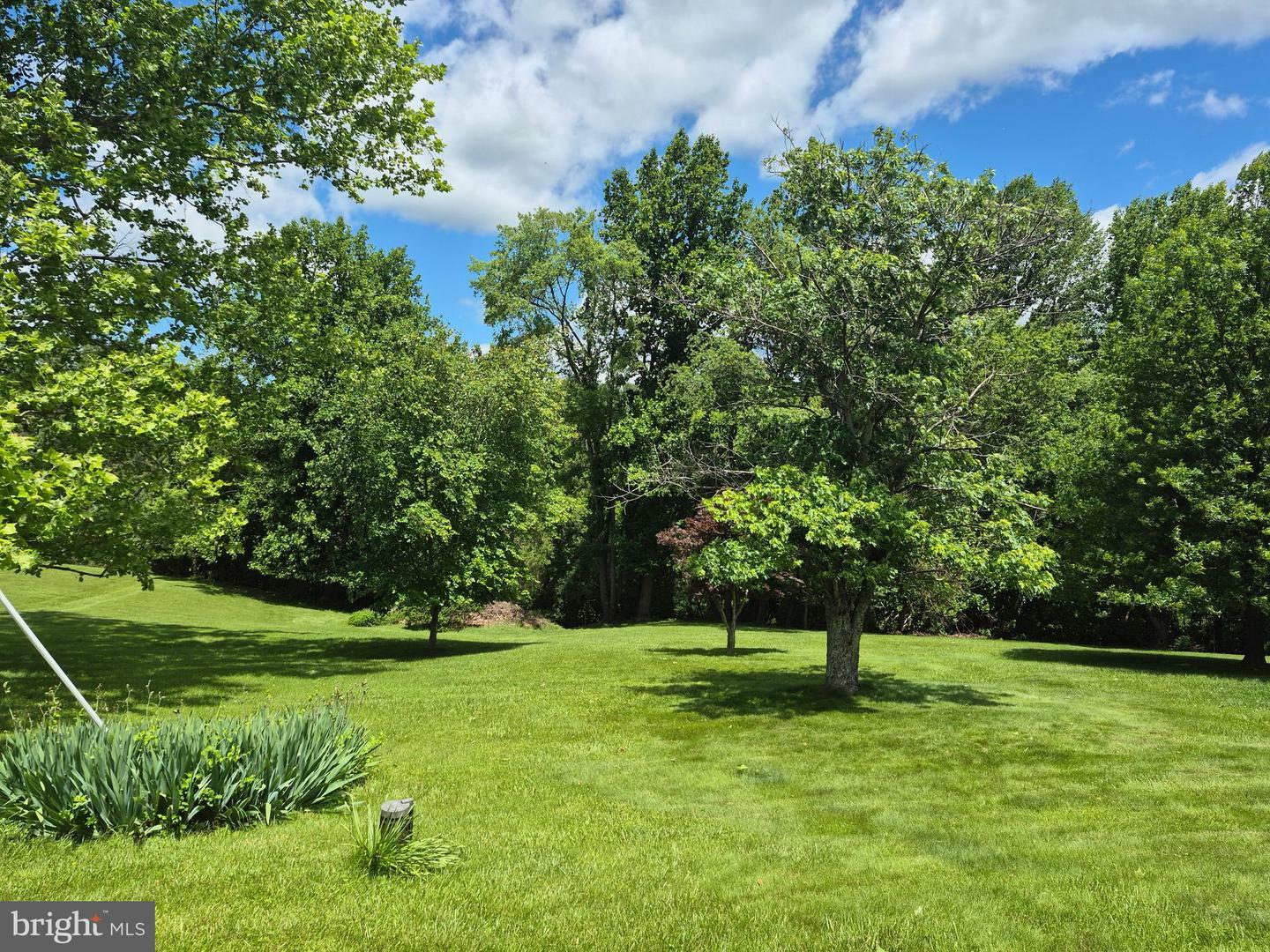 Property Photo: 14732 Rose Hollow Lane VA 20197