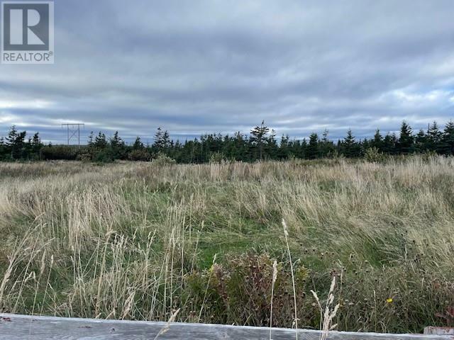 Lot 1 McIsaac'S Lane  Port Au Port East NL A0N 1T0 photo