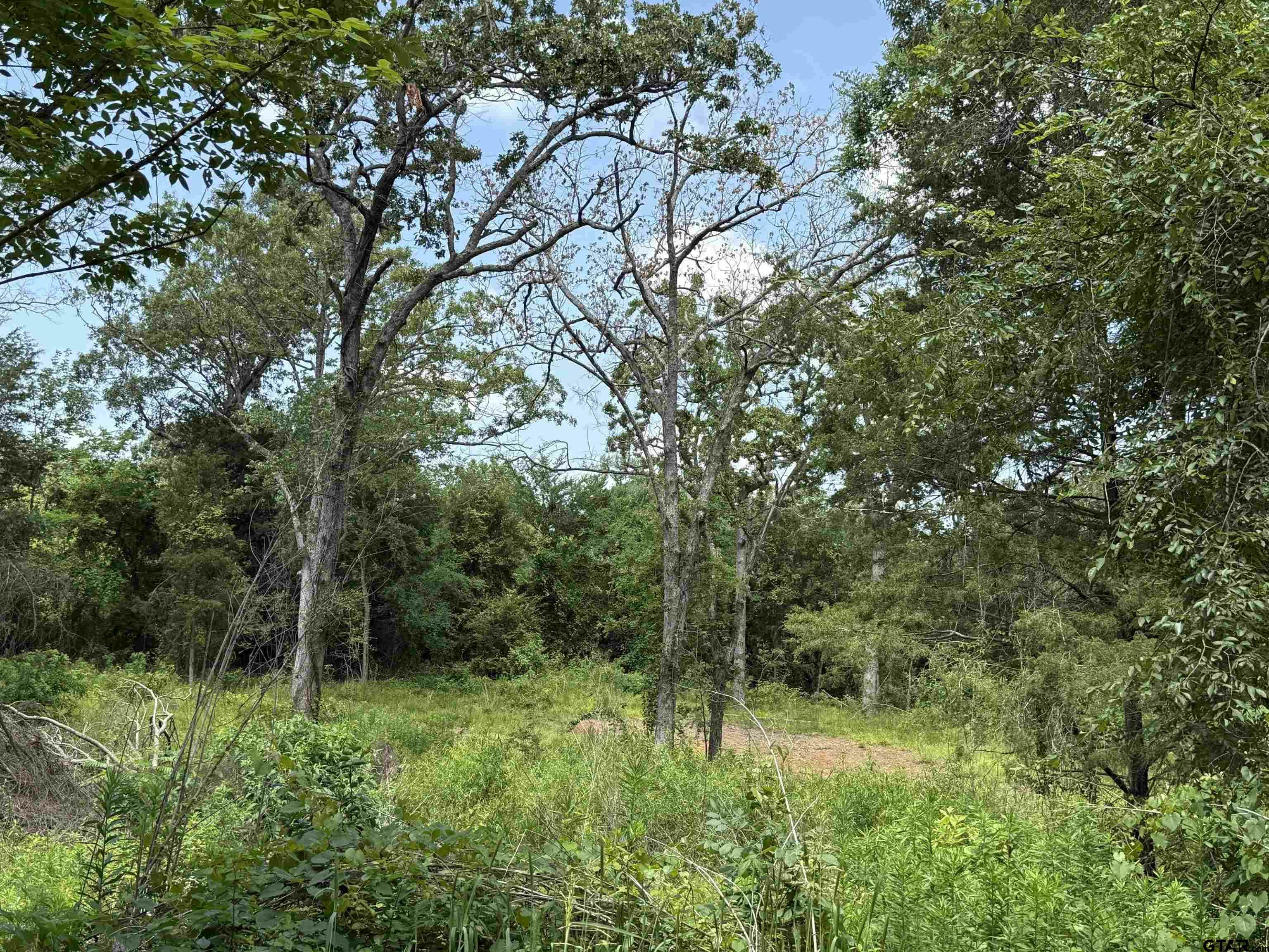Property Photo: 000 Vz Cr 4608 TX 75754