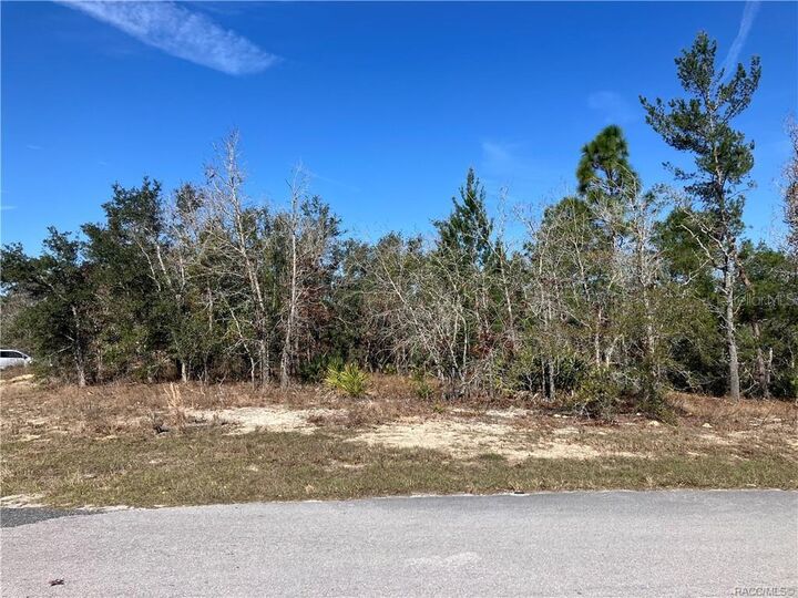 Property Photo:  17 Rudbeckia Court  FL 34446 