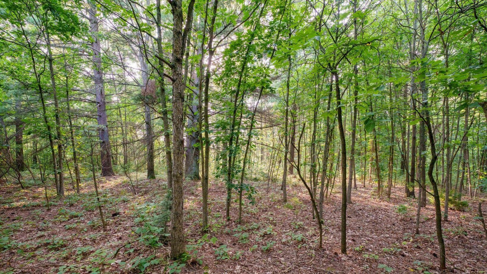 Property Photo: 0 158th Avenue MI 49460