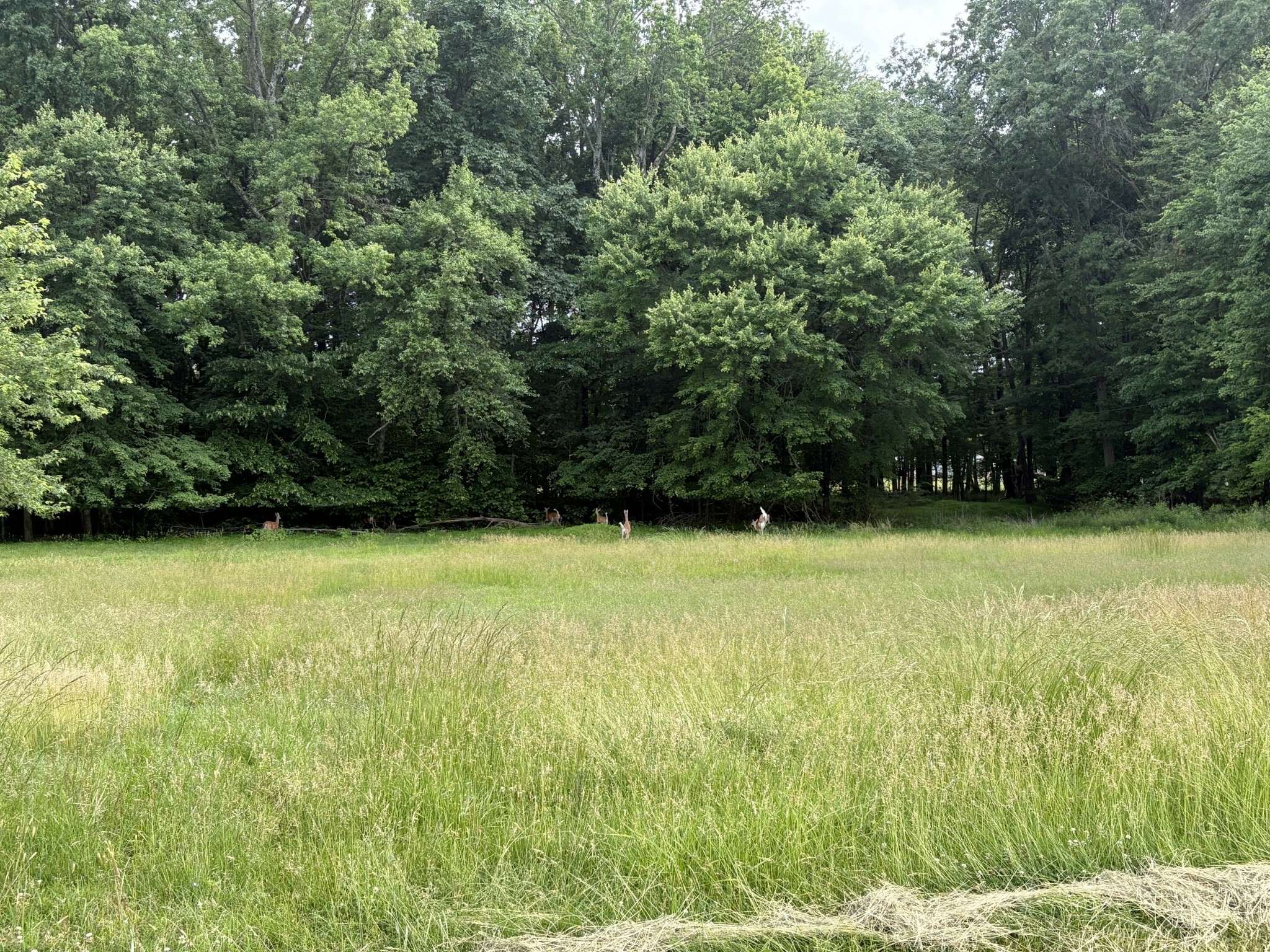 Property Photo: 550 Swan Ln TN 37043