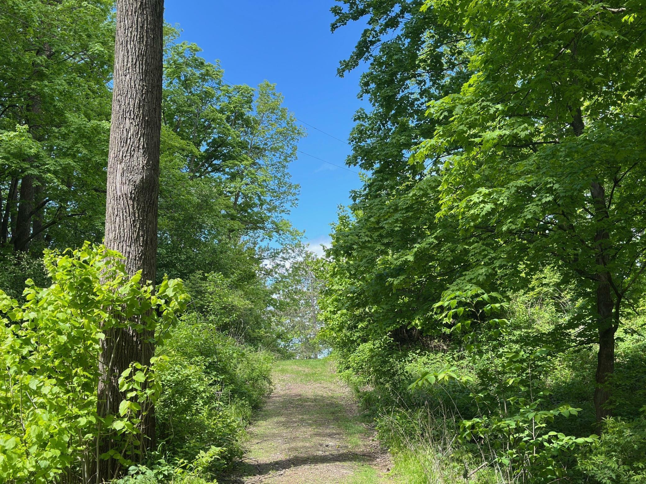 Property Photo: 16199 328th Avenue MN 56342