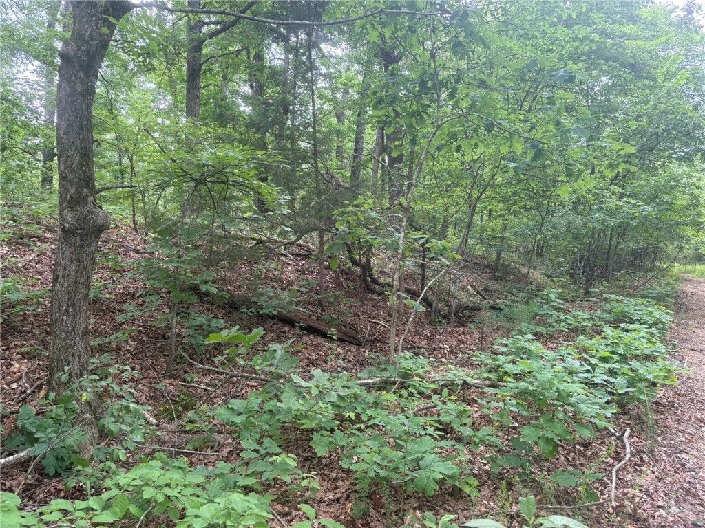 Property Photo:  Gainford Drive  AR 72714