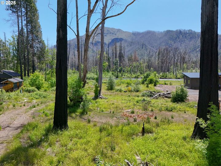 Property Photo:  52958 McKenzie Hwy  OR 97413