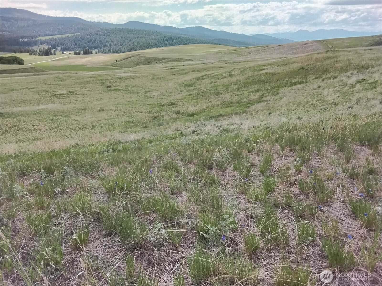 Property Photo: 0 Chesaw Rd Road WA 98844