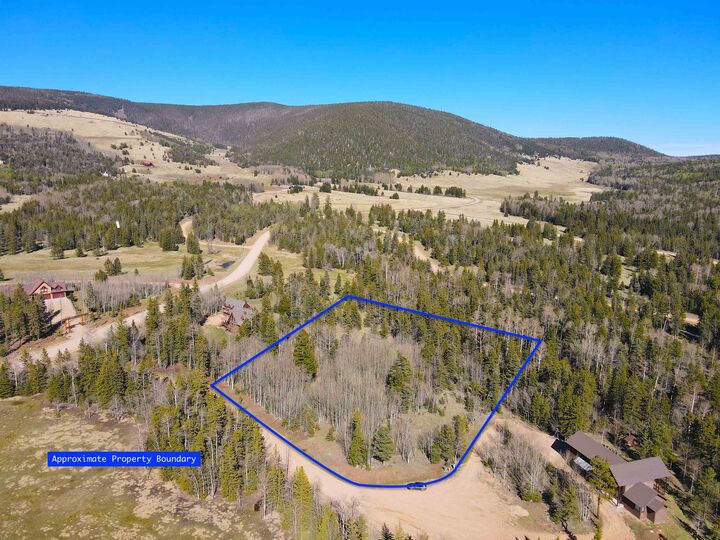 Property Photo: Lot 103 Quail Ridge NM 87710