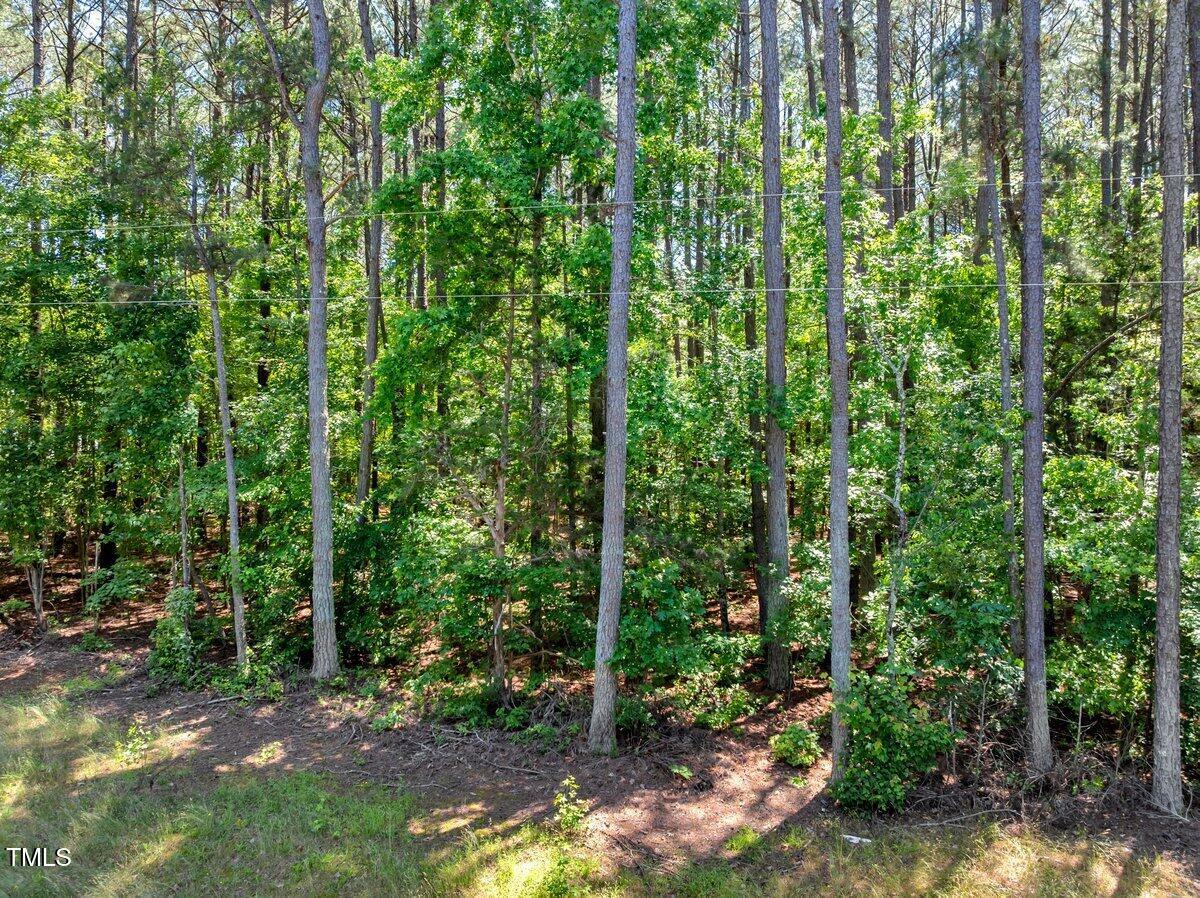 Property Photo:  Lot 10 Green Valley Dr.  NC 27850 