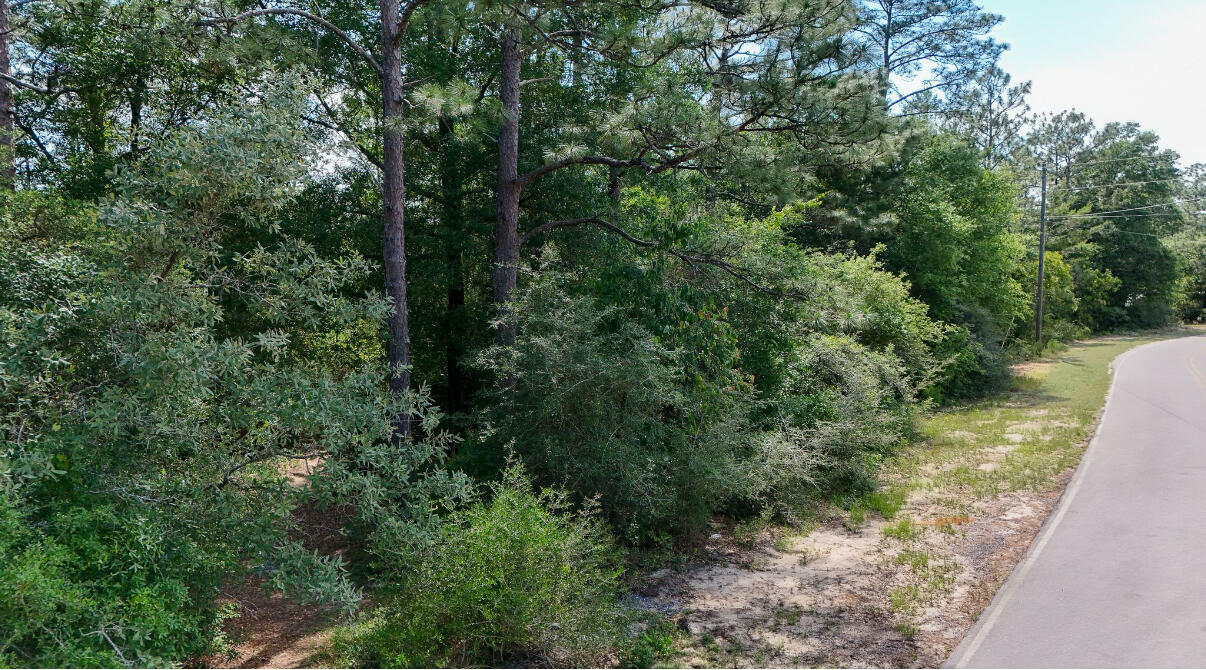 Property Photo: Tbd Brookside Drive FL 32433