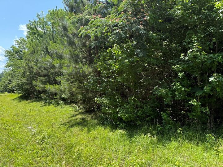 Property Photo:  1425 River Road  GA 31830