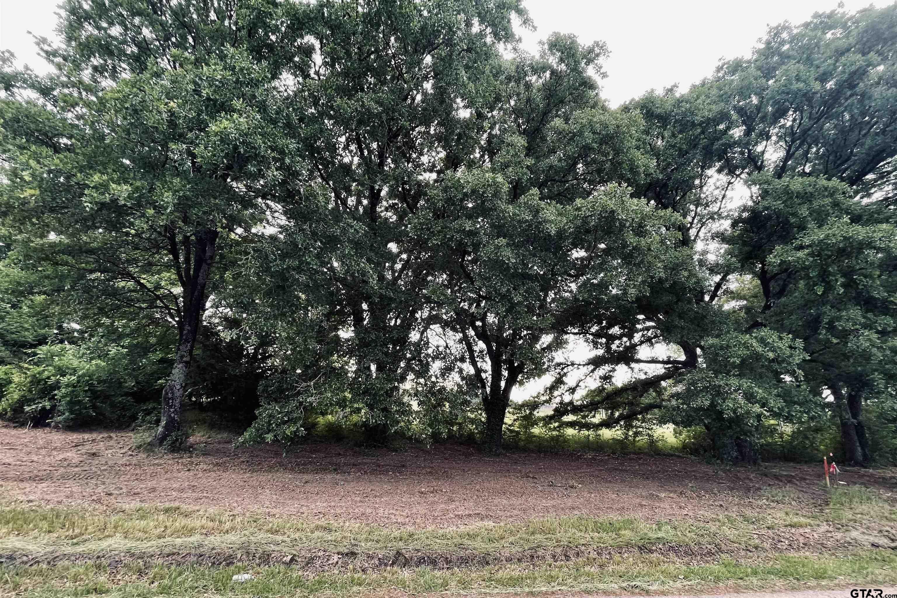 Property Photo: Lot 6 , Cr 1560 TX 75410
