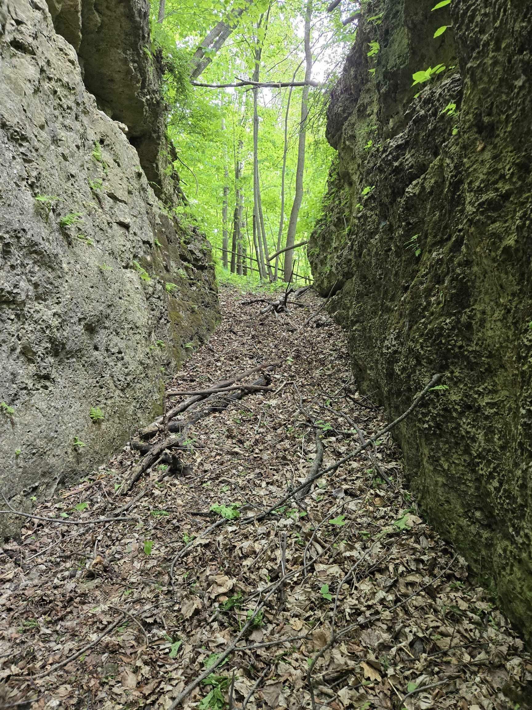 Property Photo: Partridge Road IA 52053