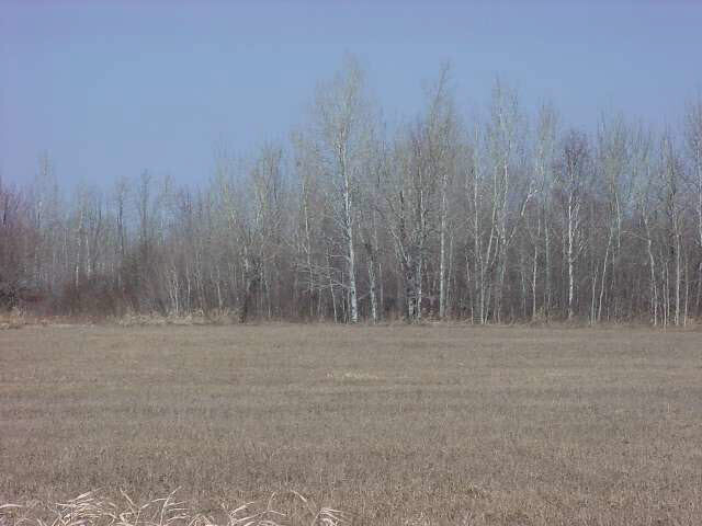 Property Photo: 0000 Ashland Bayfield Rd WI 54806
