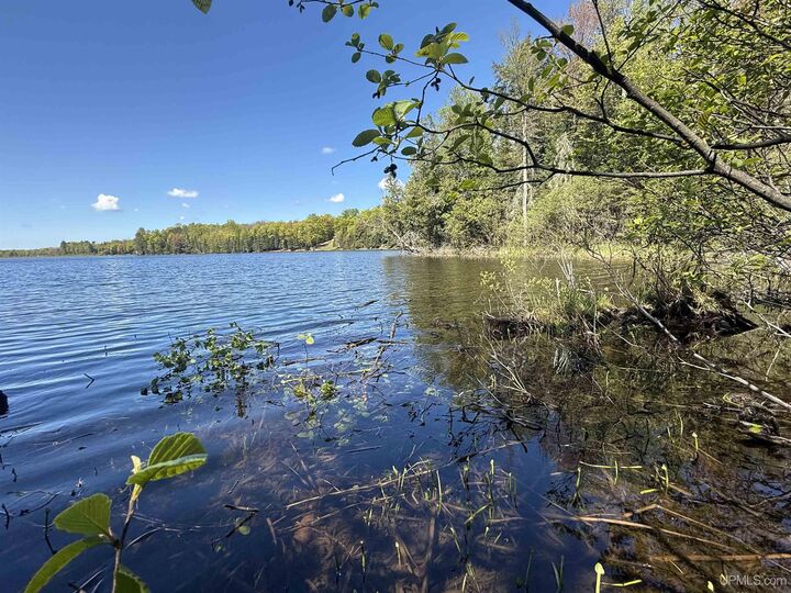 Property Photo:  Lot 8 Near Pomeroy Lake Road  MI 49947 