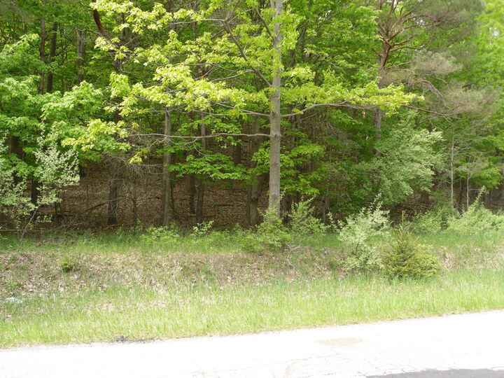 Property Photo:  S Lakeshore Drive  MI 49431 
