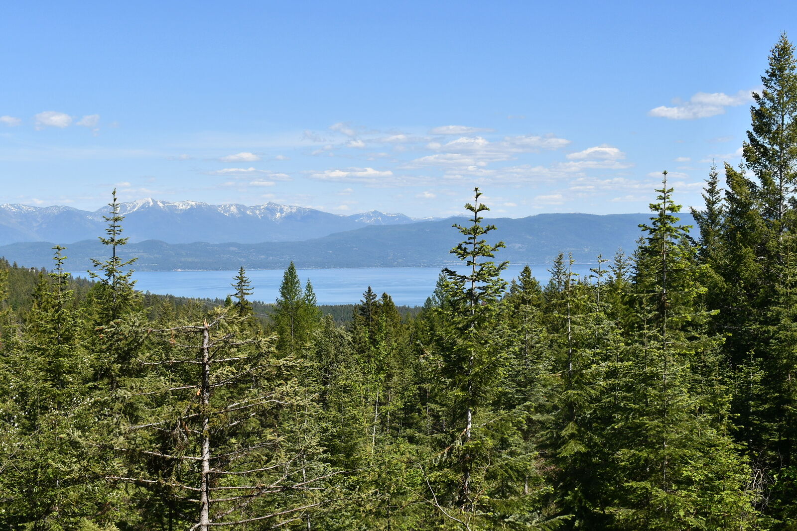 Property Photo: 1520 Bierney Creek Road MT 59922